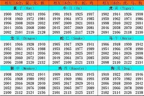 82年屬什麼|1982 年出生属什么生肖